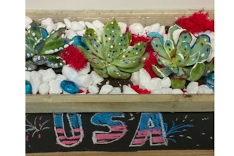 Plant Nite: Patriotic Painted Succulents in Chalkboard